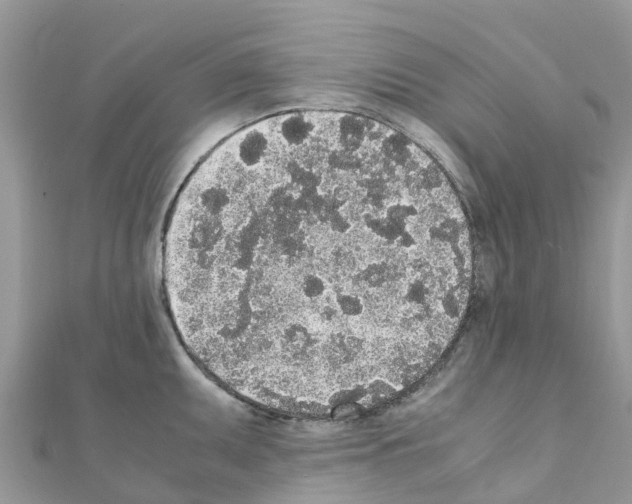 X0000111251095200908131202