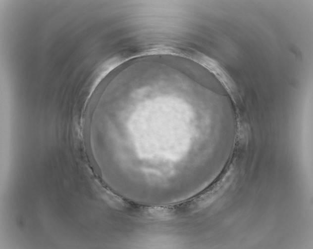 X0000111251097200908131202