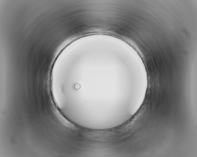 X0000111251098200908131202