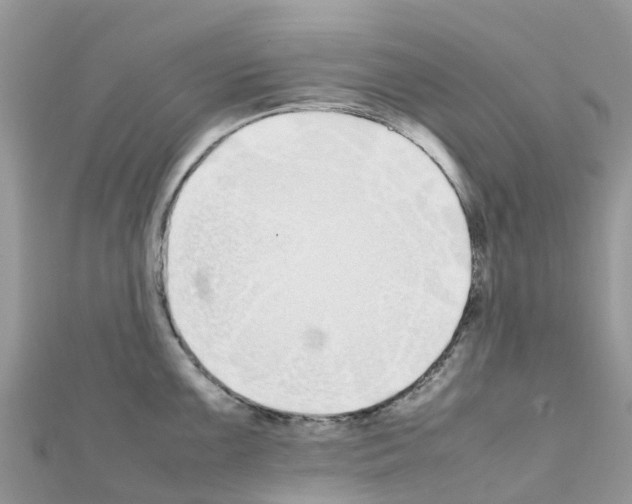 X0000111251099200908131202