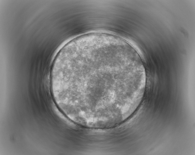 X0000111251100200908131202