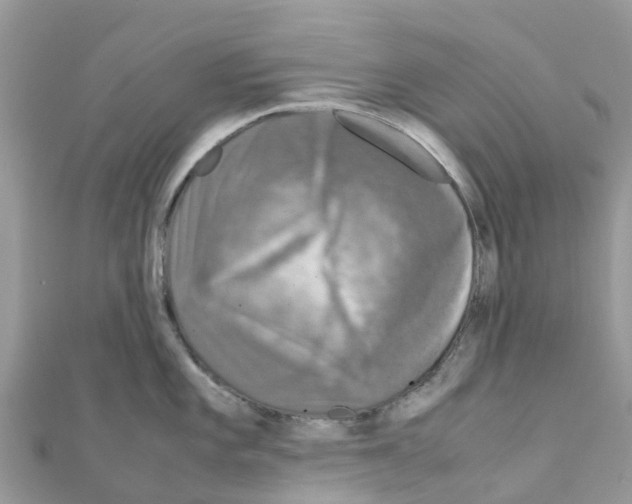 X0000111251101200908131202