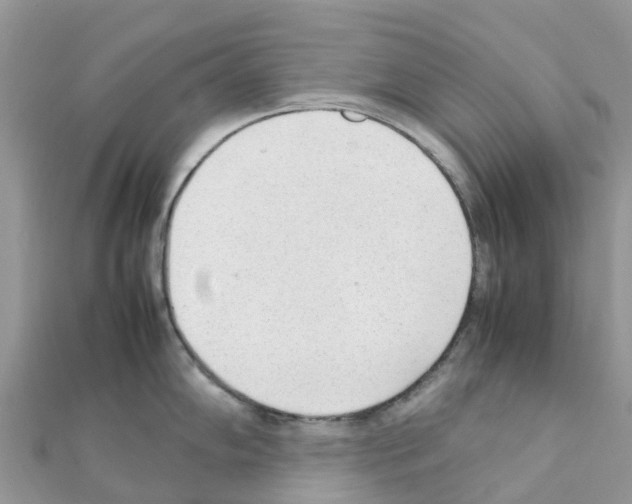 X0000111251102200908131202