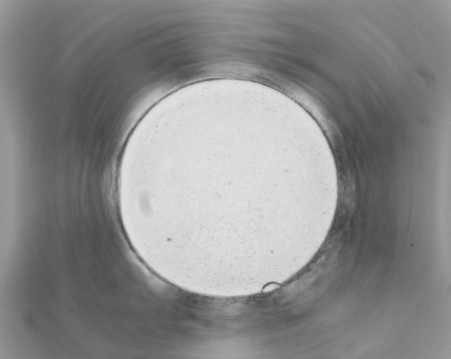 X0000111251103200908131202