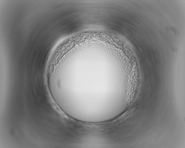 X0000111251104200908131202