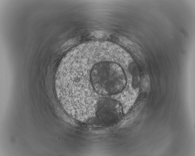 X0000111251105200908131201