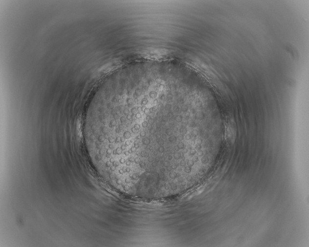 X0000111251106200908131201