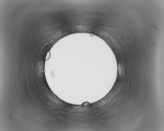 X0000111251107200908131201