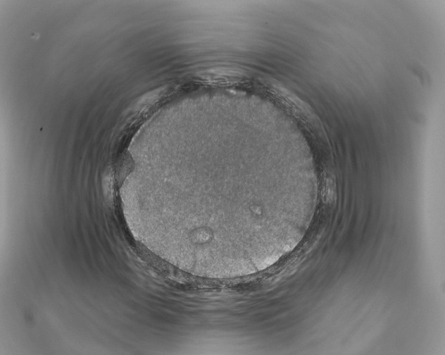 X0000111251108200908131201