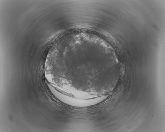 X0000111251110200908131201