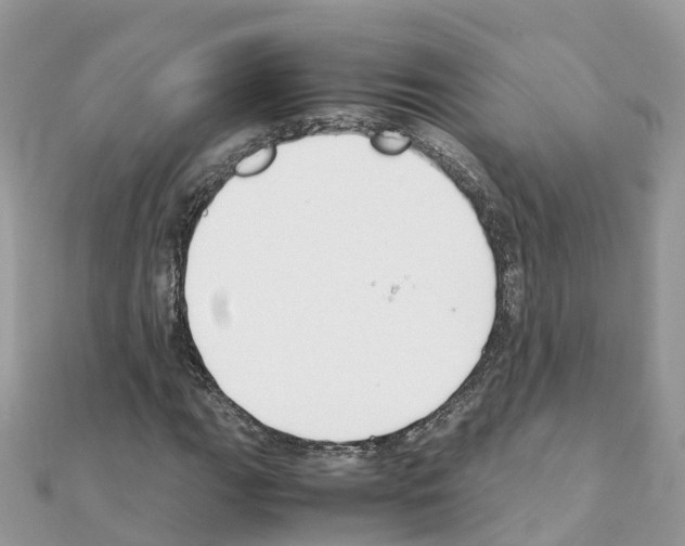 X0000111251111200908131201