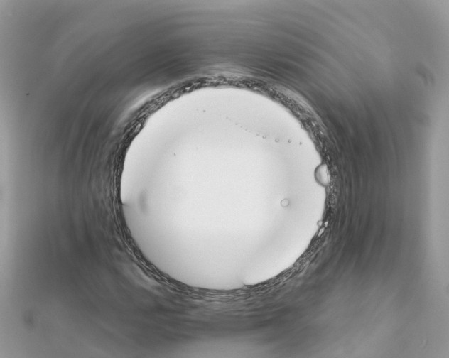 X0000111251112200908131201