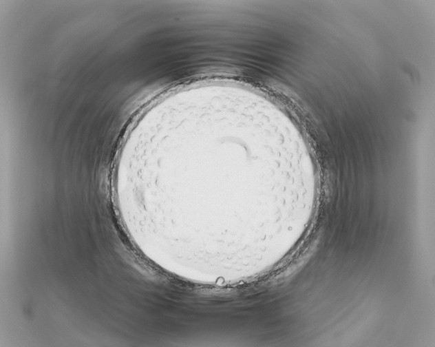 X0000111251113200908131201