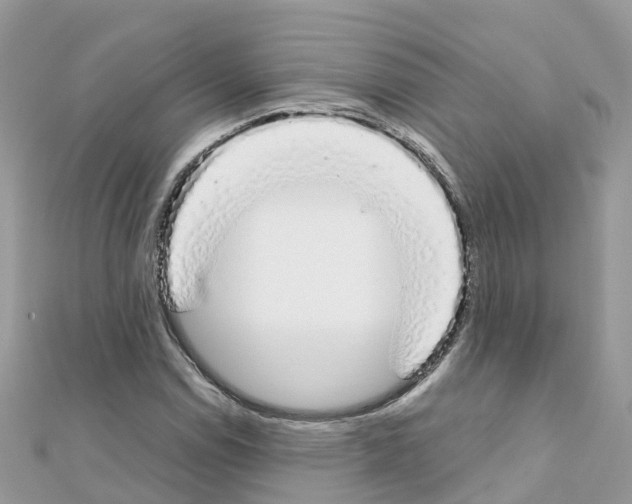 X0000111251114200908131201