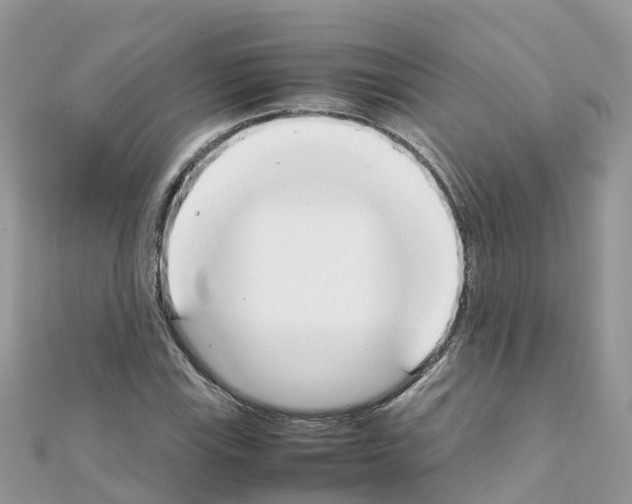 X0000111251115200908131201