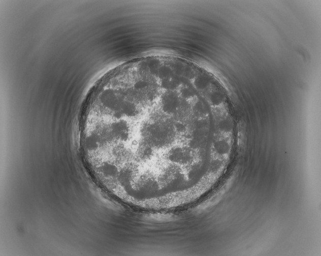 X0000111251117200908131201