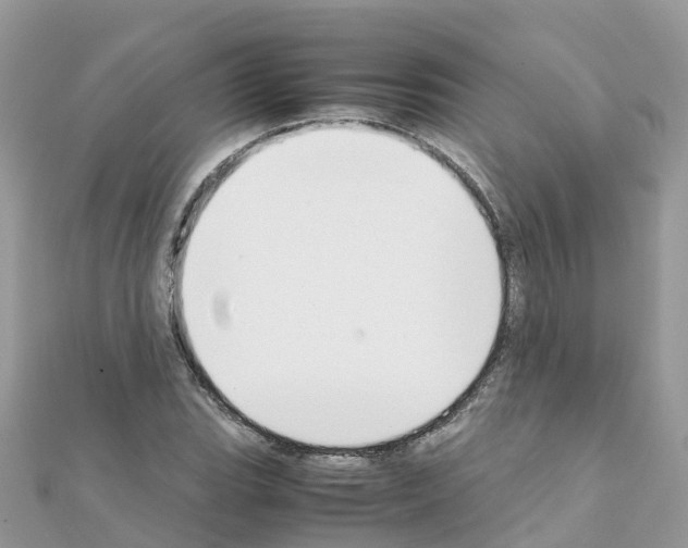 X0000111251119200908131202