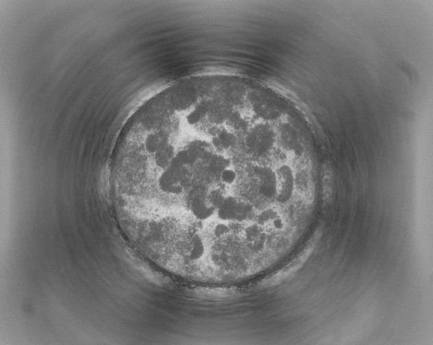 X0000111251121200908131202