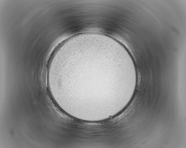 X0000111251123200908131202