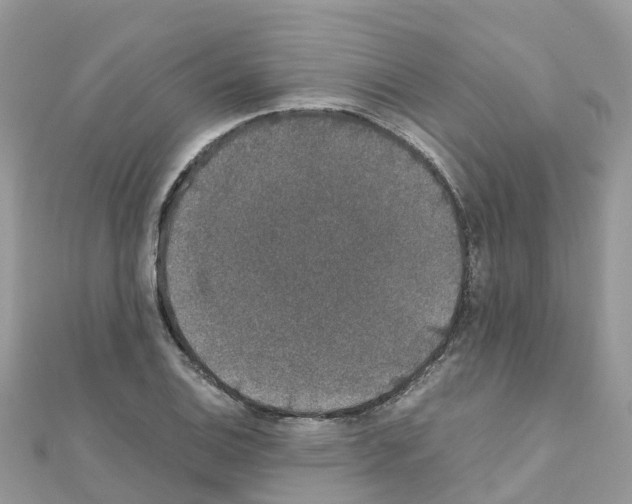 X0000111251124200908131202