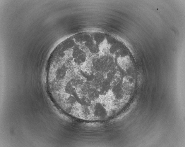 X0000111251125200908131202