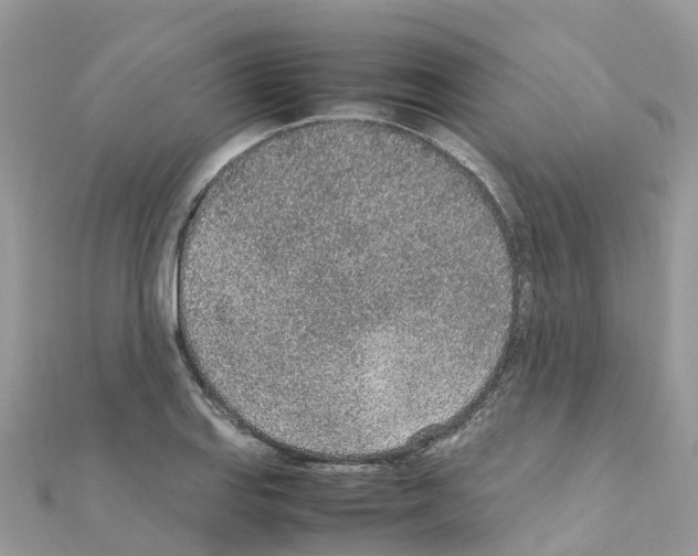 X0000111251127200908131202