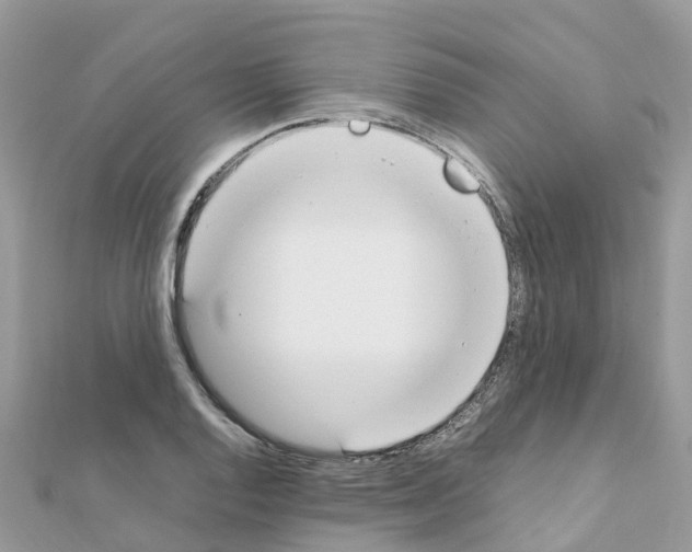 X0000111251128200908131202