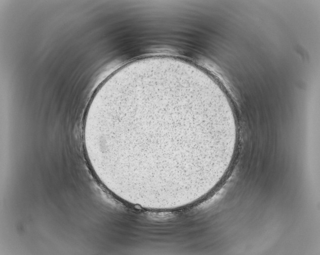 X0000111251129200908131202