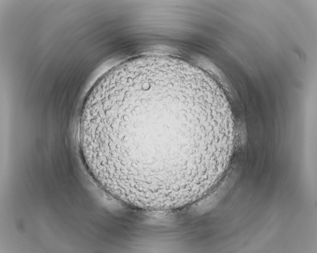 X0000111251130200908131202