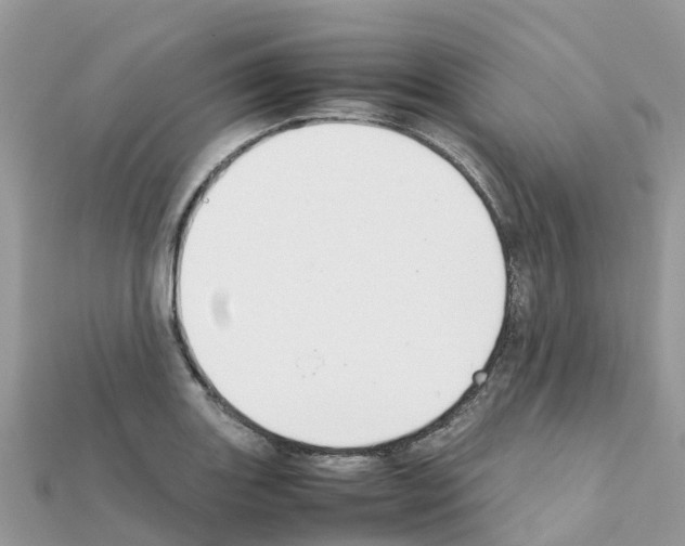 X0000111251131200908131202