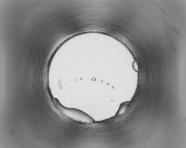 X0000111251132200908131202