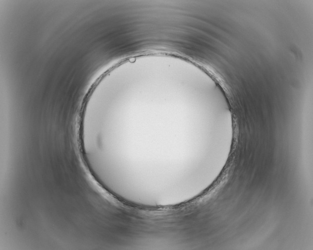 X0000111251134200908131202