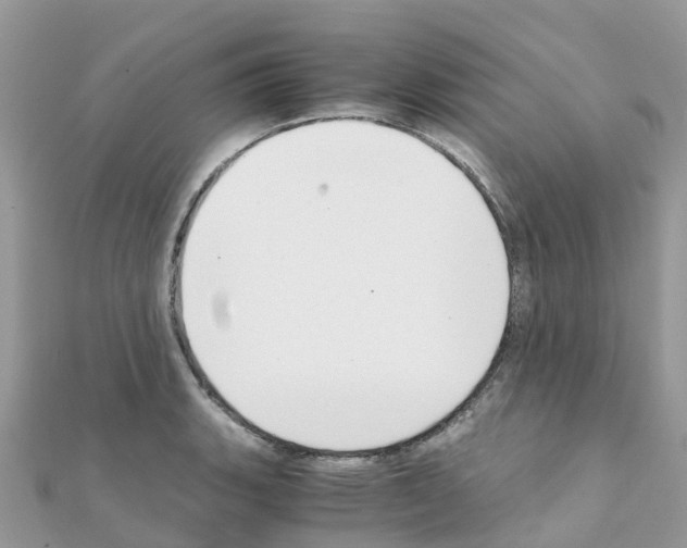 X0000111251135200908131202