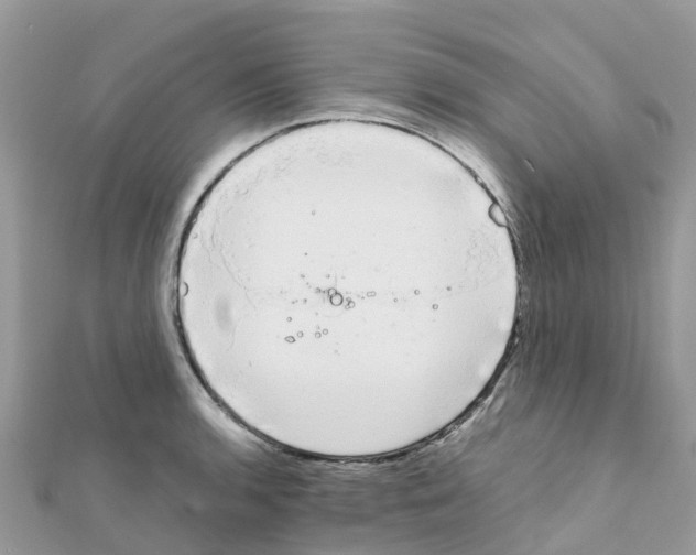 X0000111251136200908131202