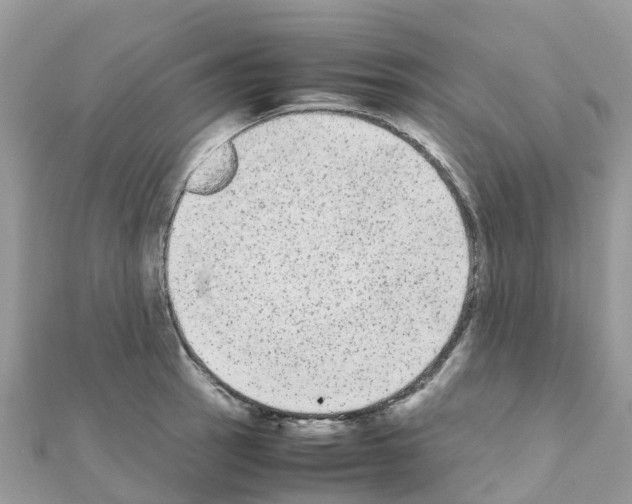 X0000111251137200908131202