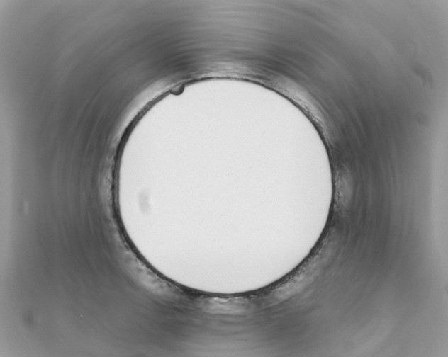 X0000111251138200908131202