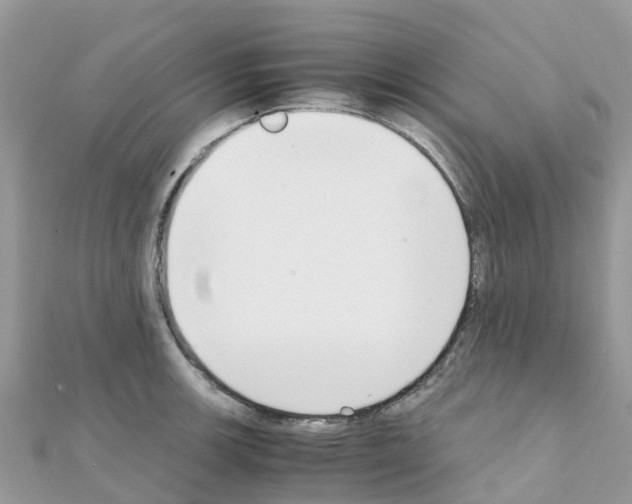 X0000111251139200908131202