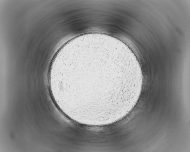 X0000111251141200908131202