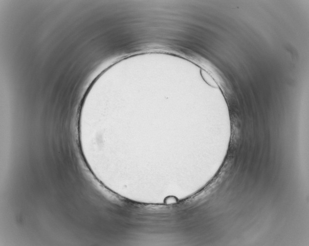 X0000111251142200908131202