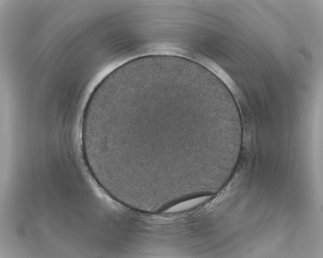 X0000111251144200908131202