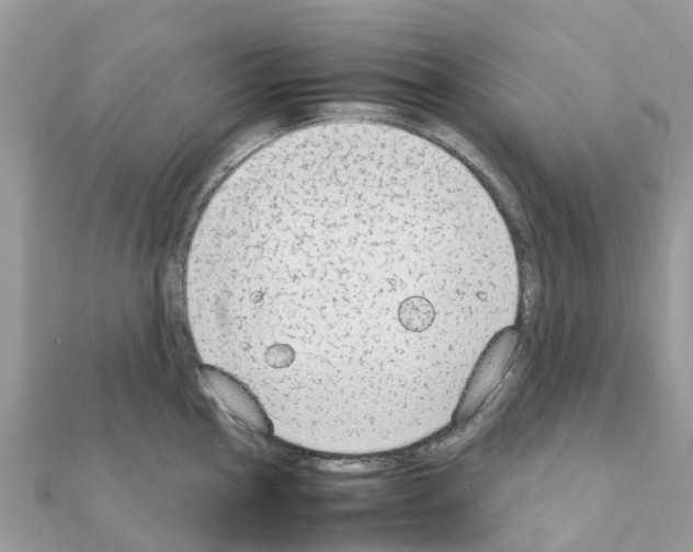 X0000111251145200908131202