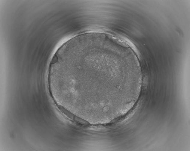 X0000111251146200908131202