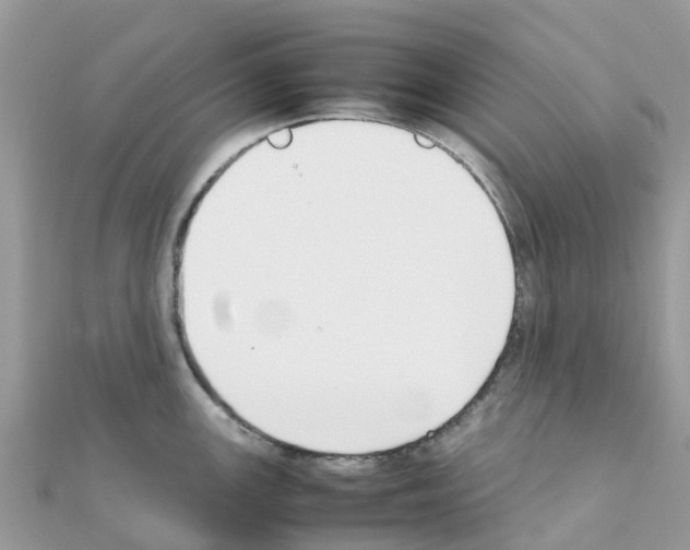 X0000111251147200908131202