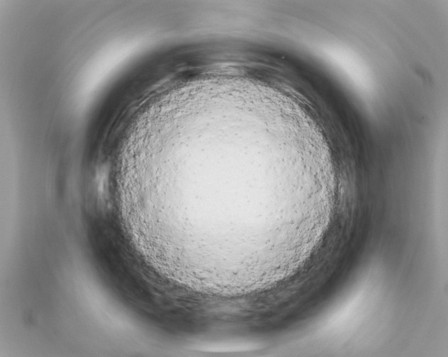 X0000111251150200908131202