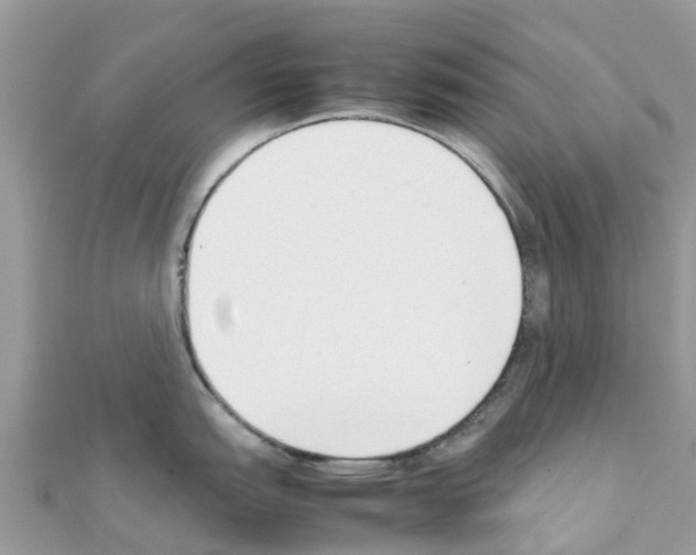 X0000111251151200908131202