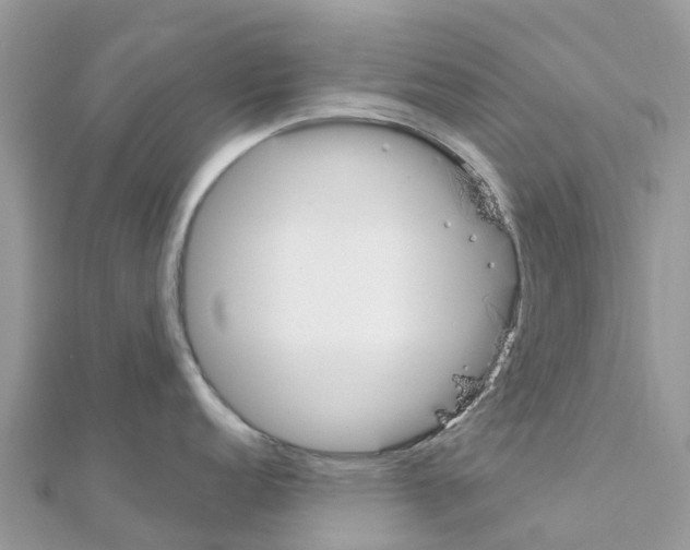 X0000111251152200908131202