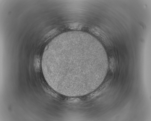 X0000111251154200908131201