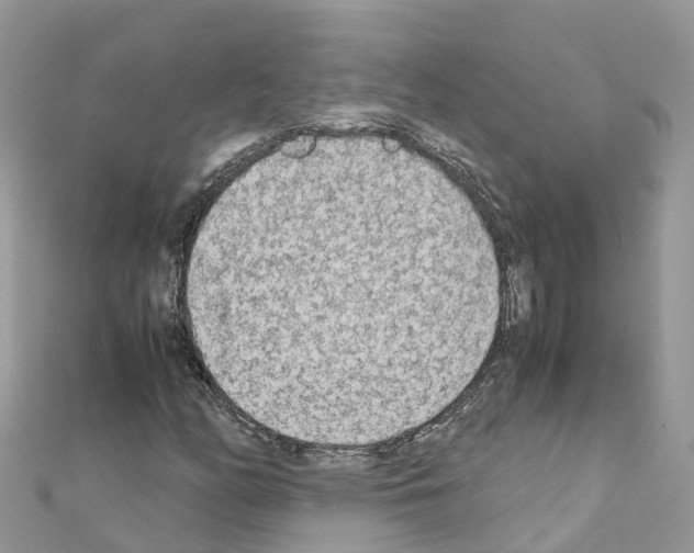 X0000111251158200908131201