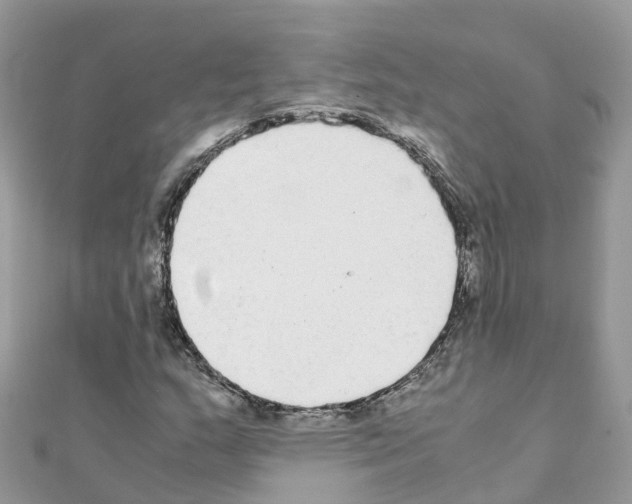 X0000111251159200908131201