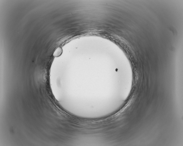 X0000111251161200908131201